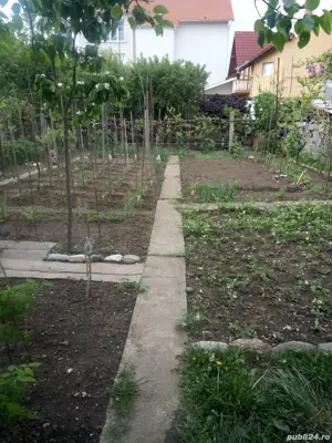 Vând Casă zona Calea Dumbrăvii-strada Bacovia 585.000  - imagine 2