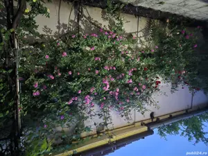 Vând Casă zona Calea Dumbrăvii-strada Bacovia 585.000  - imagine 7