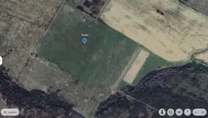 Vand teren extravilan - imagine 9