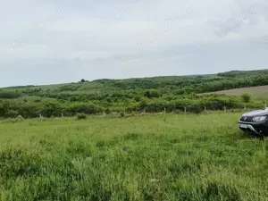 Vand teren extravilan - imagine 2