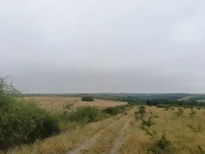 Vand teren extravilan - imagine 4