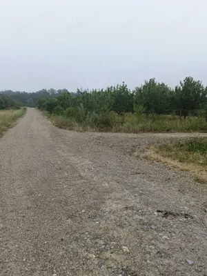 Vand teren extravilan - imagine 7