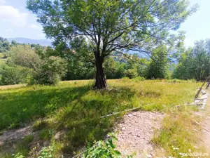 Vând teren intravilan! - imagine 9