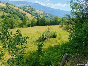 Vând teren intravilan!