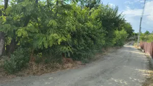 Vând teren intravilan in comuna Cernătești  - imagine 2 Vând teren intravilan in comuna Cernătești  - imagine 2