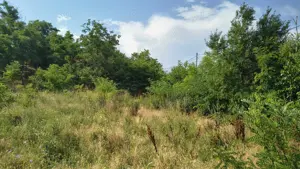 Vând teren intravilan in comuna Cernătești  - imagine 5 Vând teren intravilan in comuna Cernătești  - imagine 5