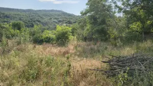 Vând teren intravilan in comuna Cernătești  - imagine 4 Vând teren intravilan in comuna Cernătești  - imagine 4