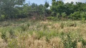 Vând teren intravilan in comuna Cernătești  - imagine 6 Vând teren intravilan in comuna Cernătești  - imagine 6