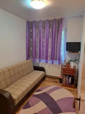 Dambu Pietros - Vanzare apartament 3 camere - Str. Petru Dobra - imagine 6