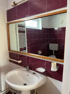 Vila Individuala P+1 | Centru Pucioasa | Proprietar  - imagine 15