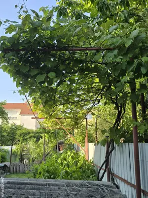 Vând Casă zona Calea Dumbrăvii-strada Bacovia 585.000  - imagine 4