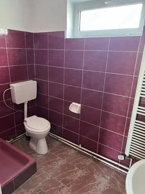 Vila Individuala P+1 | Centru Pucioasa | Proprietar  - imagine 14