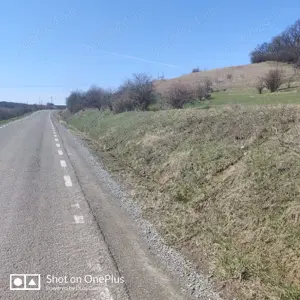 Vând 1,5 ha teren extravilan