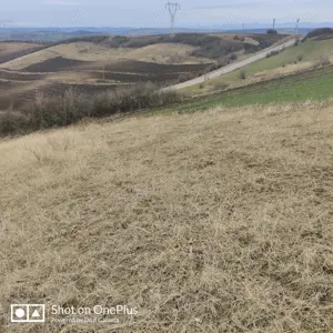 Vând 1,5 ha teren extravilan - imagine 2