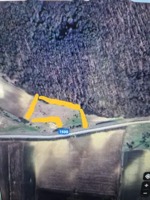 Vând 1,5 ha teren extravilan - imagine 3