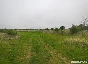 Vând teren intravilan 7525 m2   Giarmata Vii