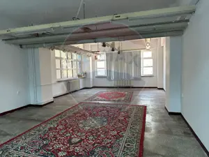 Spațiu comercial/birouri/industrial Brailei - imagine 8