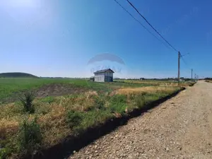 Teren intravilan Maracineni / Strada Manga - imagine 4