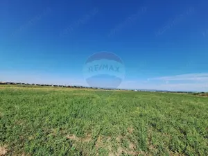 Teren intravilan Maracineni / Strada Manga - imagine 2