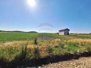 Teren intravilan Maracineni / Strada Manga - imagine 5