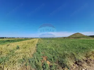 Teren intravilan Maracineni / Strada Manga