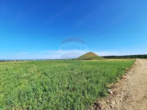 Teren intravilan Maracineni / Strada Manga - imagine 3