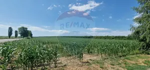 Teren de vanzare 32,000mp in Beresti-Bistrita jud. Bacau