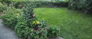 Apartament 3 camere Stațiunea Saturn  - imagine 9