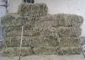 Van baloti de fan si otava, Brasov