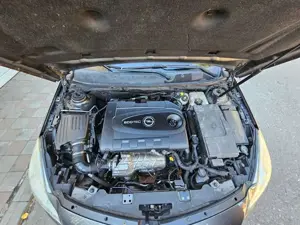 insignia de vinzare - imagine 4