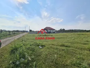 Teren intravilan in Campina, 7500mp--35e - imagine 11
