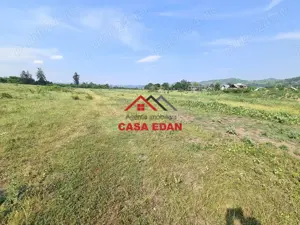 Teren intravilan in Campina, 7500mp--35e - imagine 13