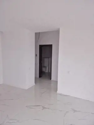 Apartament cu 2 camere, 55 mp, zona Anton Pann - imagine 9