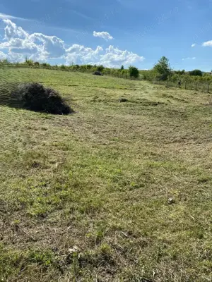 De vânzare teren intravilan, Sălicea   1711 mp, parcelabil - imagine 3