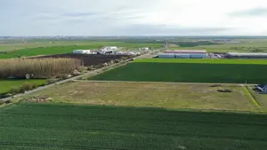 Exterior Nord - Parcela Verde - industrial - P.U.Z. finalizat - utilitati complete - imagine 2