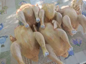 Sacrific  Pui kabir crescuți natural în gospodărie greutate 2kg jumate curățat