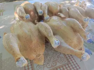    Sacrific  Pui kabir crescuți natural în gospodărie greutate 2kg jumate curățat  - imagine 2