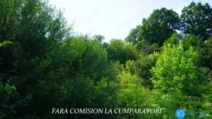 CASA CU TEREN 1730 MP, UTILITATI RACORDATE
 - imagine 14