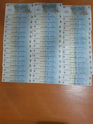 Bancnota 20 Lei Ecaterina Teodoroiu
