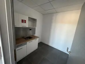 Spatiu de depozitare si productie Chitila - Rudeni - imagine 5