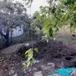 Teren intravilan 414 mp, 24 ml deschidere, zona cartier CFR Tecuci - imagine 2