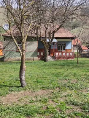 De vânzare casa de familie in Loc. Lunca de sus.