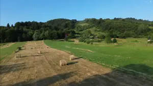 Teren 5886 mp In Bucovina - Bucsoaia! De Vanzare! 0727817187 - imagine 12 Teren 5886 mp In Bucovina - Bucsoaia! De Vanzare! 0727817187 - imagine 12