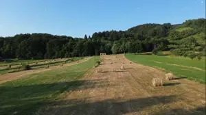 Teren 5886 mp In Bucovina - Bucsoaia! De Vanzare! 0727817187 - imagine 7 Teren 5886 mp In Bucovina - Bucsoaia! De Vanzare! 0727817187 - imagine 7