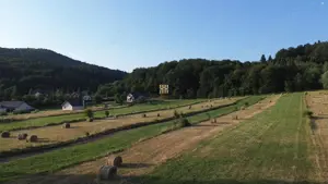 Teren 5886 mp In Bucovina - Bucsoaia! De Vanzare! 0727817187 - imagine 3 Teren 5886 mp In Bucovina - Bucsoaia! De Vanzare! 0727817187 - imagine 3