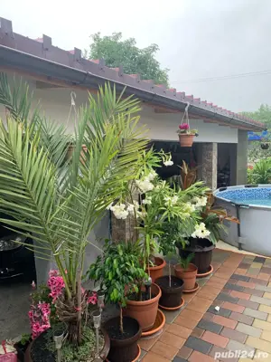 Vând Casă Nouă,Finisată,Utilată - imagine 8