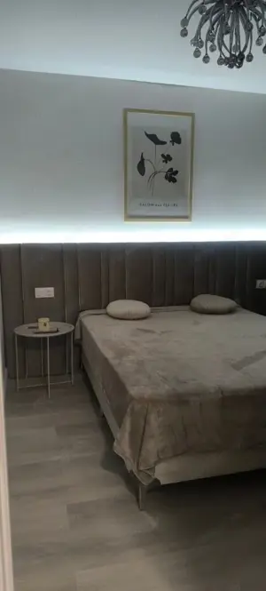 Garsonieră de închiriat în Tineretului - imagine 6