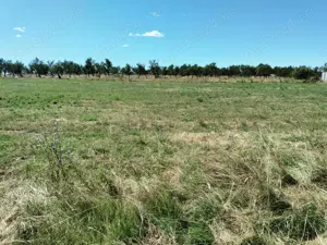 Parcele terenuri intre 600 si 1776 mp, Albota morlovani