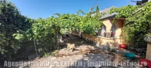 Casă 4 camere și 1088mp teren, deschidere 15ml la stradă, în Tecuci - imagine 2