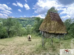 Casa in Muntii Apuseni cu 17.596 mp teren